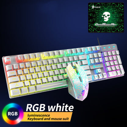 Pack Gamer Kuiying T6 – Clavier & Souris RGB Lumineux | Design Blanc Futuriste
